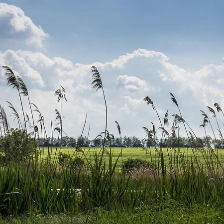 Toereki 34 Vendeghaz Lägenhet Siófok Exteriör bild