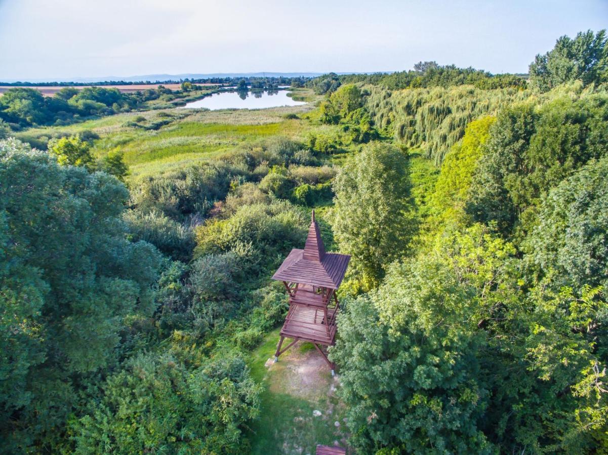 Toereki 34 Vendeghaz Lägenhet Siófok Exteriör bild