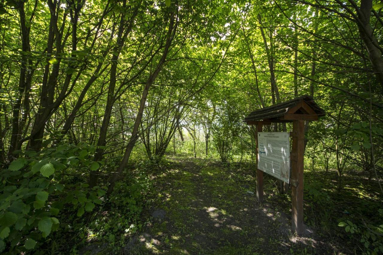 Toereki 34 Vendeghaz Lägenhet Siófok Exteriör bild