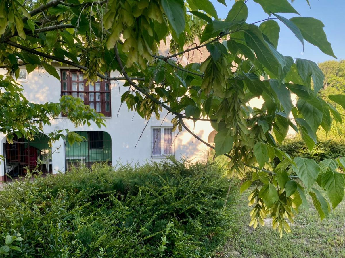 Toereki 34 Vendeghaz Lägenhet Siófok Exteriör bild